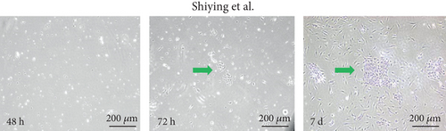 Details are in the caption following the image Details are in the caption following the image