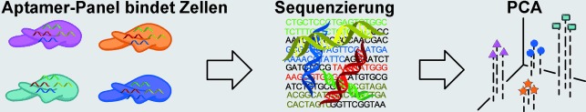 Next-Generation Sequencing as Input for Chemometrics in Differential Sensing Routines