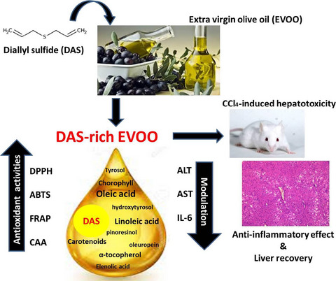 Antioxidant and protective effects of extra virgin olive oil incorporated with diallyl sulfide against CCl4-induced acute liver injury in mice