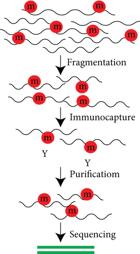 Details are in the caption following the image