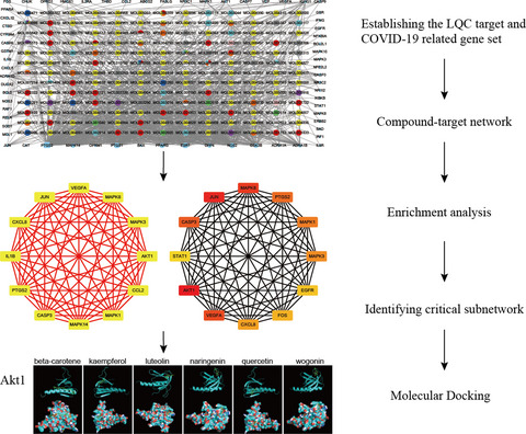 Network pharmacology and molecular docking analyses on Lianhua Qingwen capsule indicate Akt1 is a potential target to treat and prevent COVID-19