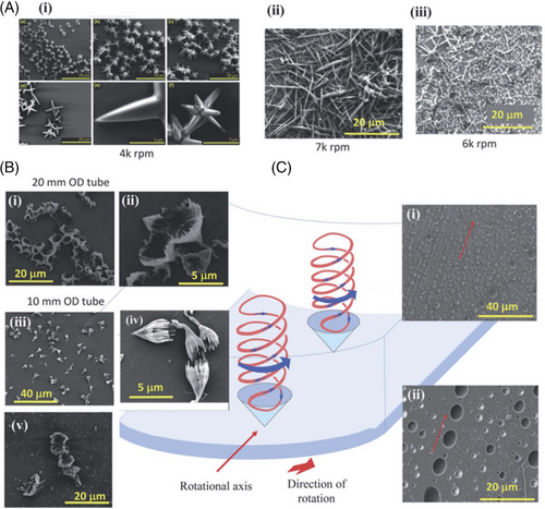 Details are in the caption following the image Details are in the caption following the image