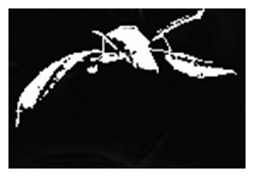 Details are in the caption following the image
