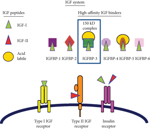 Details are in the caption following the image