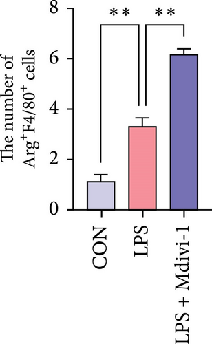 Details are in the caption following the image