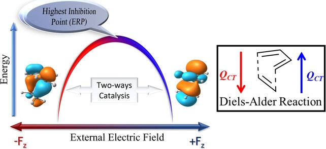 Two-Way Catalysis in a Diels–Alder Reaction Limits Inhibition Induced by an External Electric Field