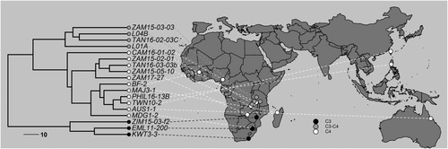 Details are in the caption following the image Details are in the caption following the image