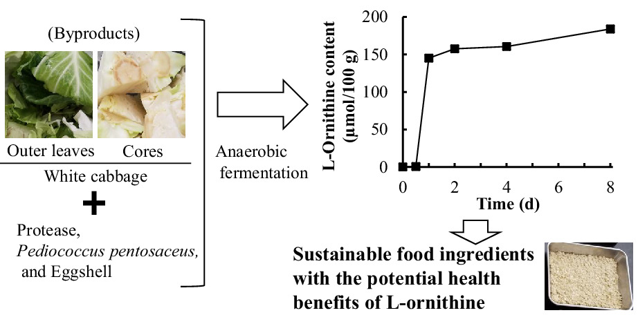 A new and efficient method for producing food ingredients high in l-ornithine using unused parts of white cabbage (Brassica oleracea var. capitata)