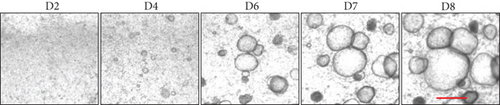 Details are in the caption following the image