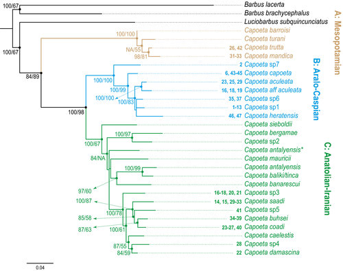Details are in the caption following the image Details are in the caption following the image