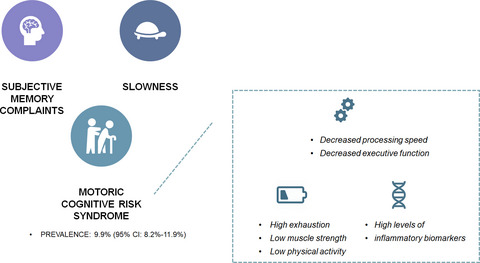 Physical and cognitive profiles in motoric cognitive risk syndrome in an older population from Southern Italy