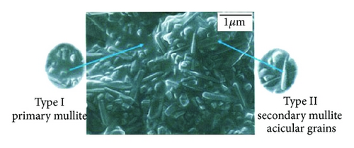 Details are in the caption following the image