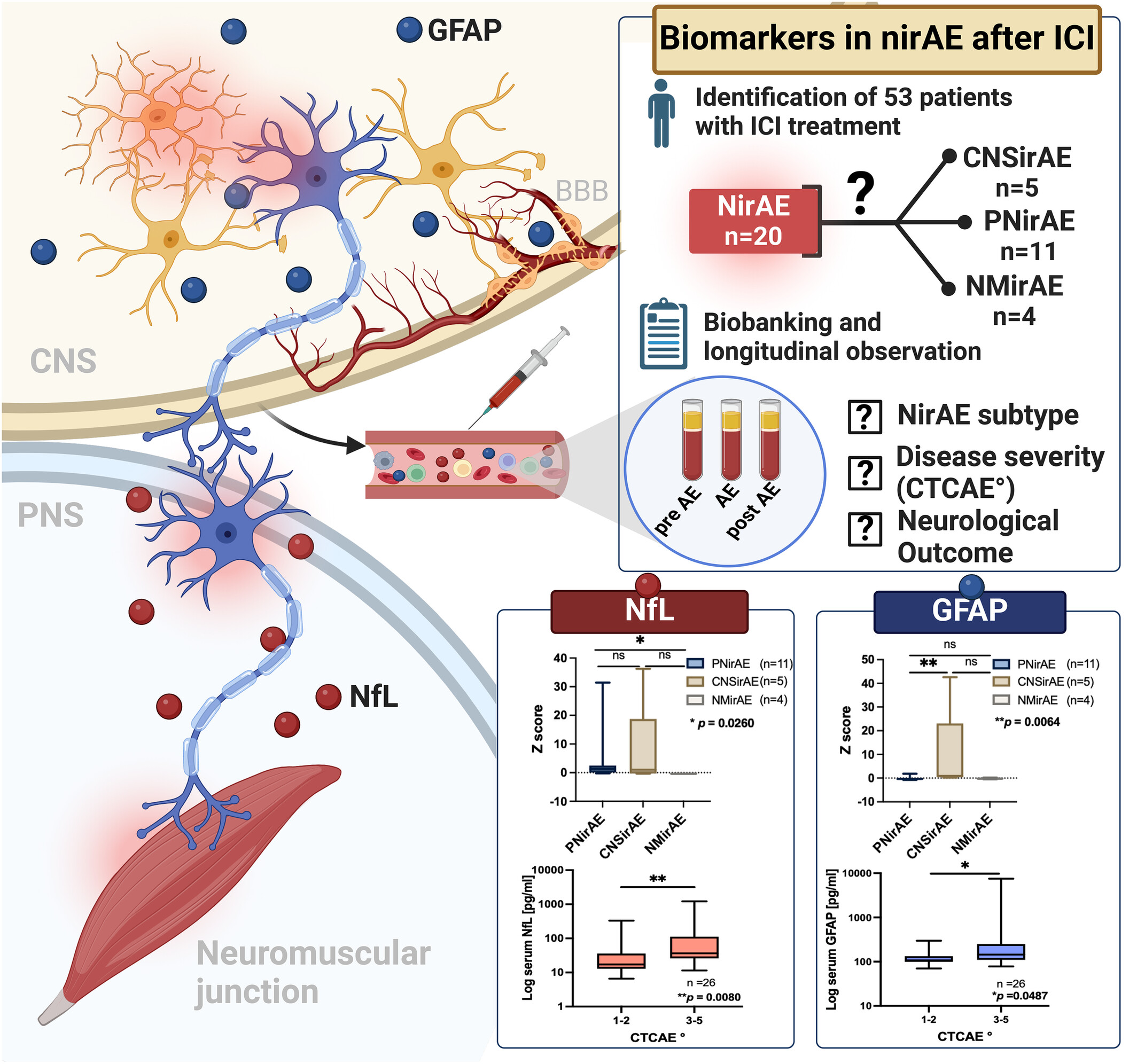 Increased serum NfL and GFAP levels indicate different subtypes of neurologic immune-related adverse events during treatment with immune checkpoint inhibitors