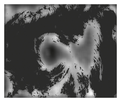 Details are in the caption following the image Details are in the caption following the image
