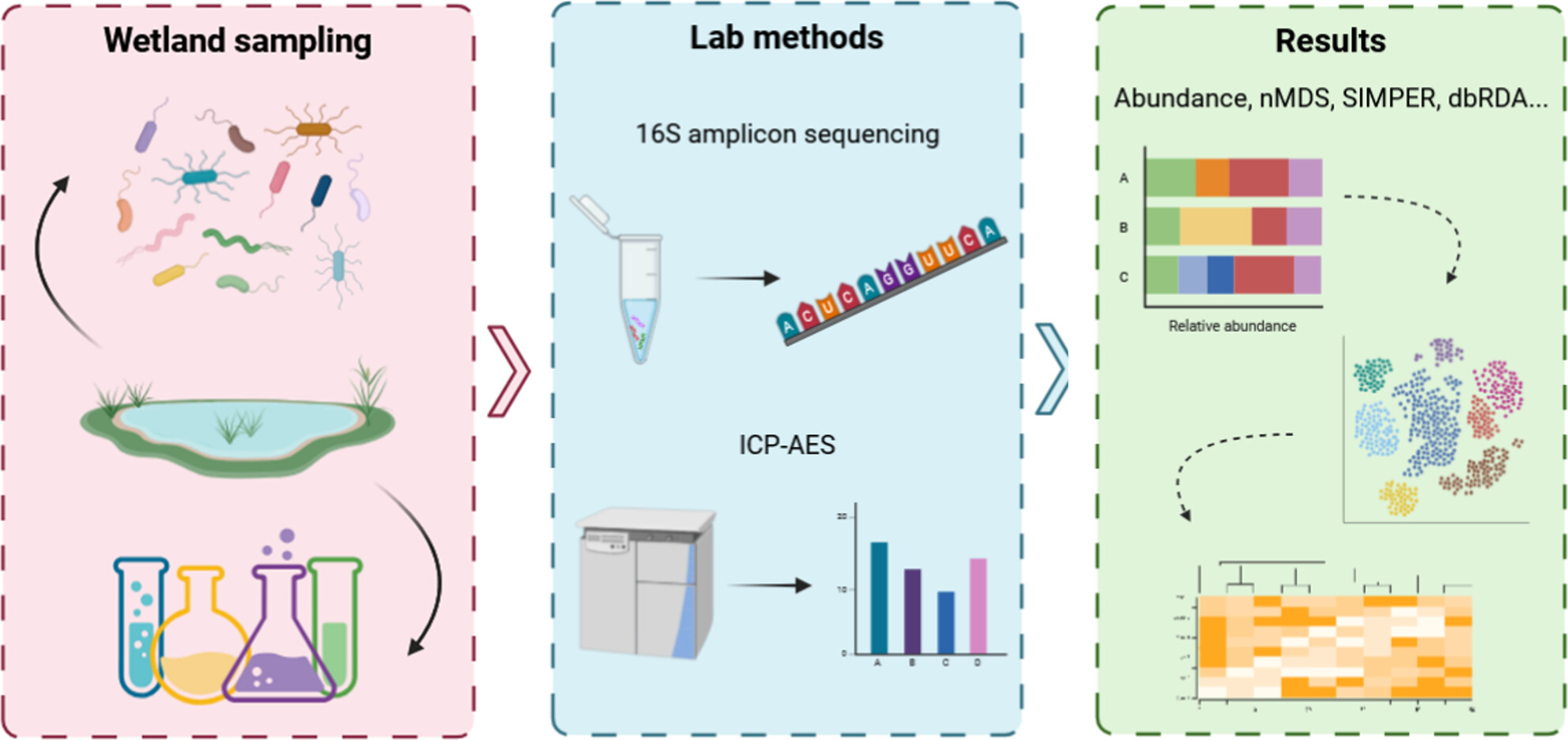 Assessing the Relationship Between Sedimentary Microbial Community Structure and Pollutants in Stormwater Wetlands Using eDNA Metabarcoding
