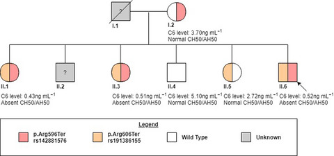 Novel pathogenic mutations identified in the first Chinese pedigree of complete C6 deficiency