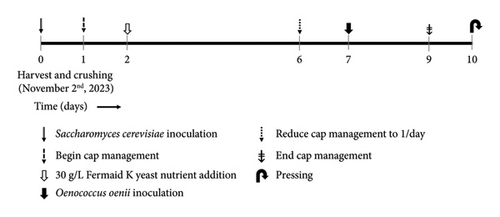 Details are in the caption following the image