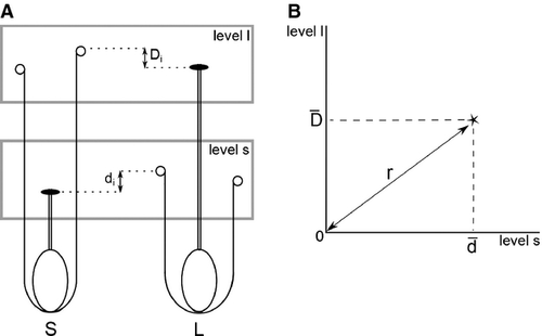 Details are in the caption following the image