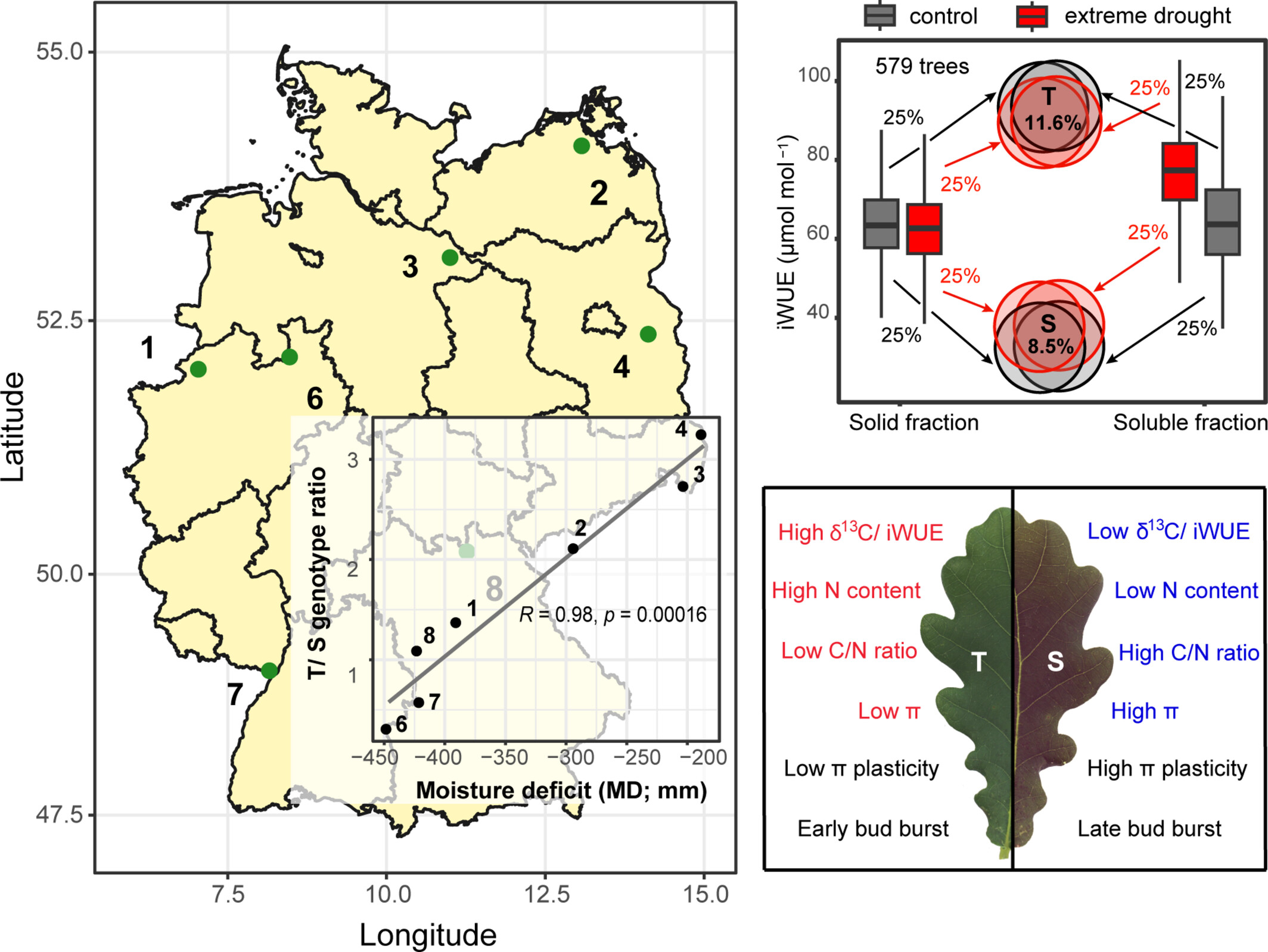 Patterns of Adaptation to Drought in Quercus robur Populations in Central European Temperate Forests