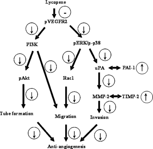 Details are in the caption following the image