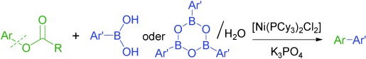 C(Aryl)-O-Aktivierung von Arylcarboxylaten in nickelkatalysierten Biarylsynthesen
