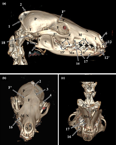 Details are in the caption following the image Details are in the caption following the image
