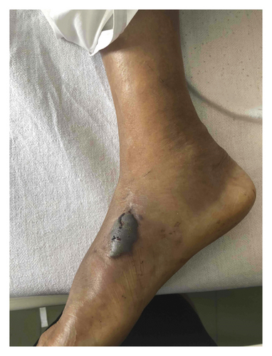 Details are in the caption following the image Details are in the caption following the image