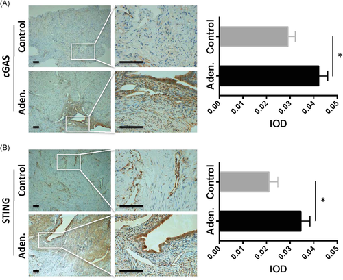 Details are in the caption following the image Details are in the caption following the image