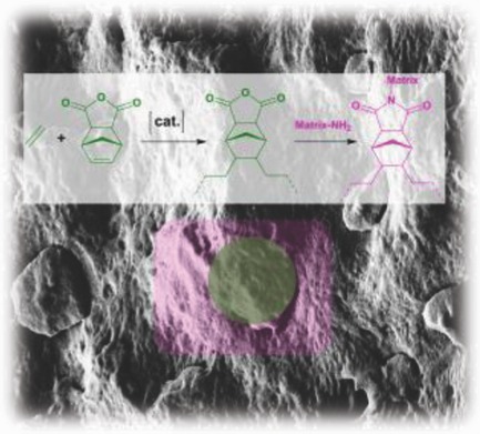 High-Impact Polyamide Composites with Linear Ethylene–Norbornene Anhydride Copolymers from Insertion Polymerization