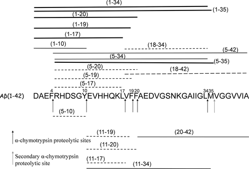 Details are in the caption following the image