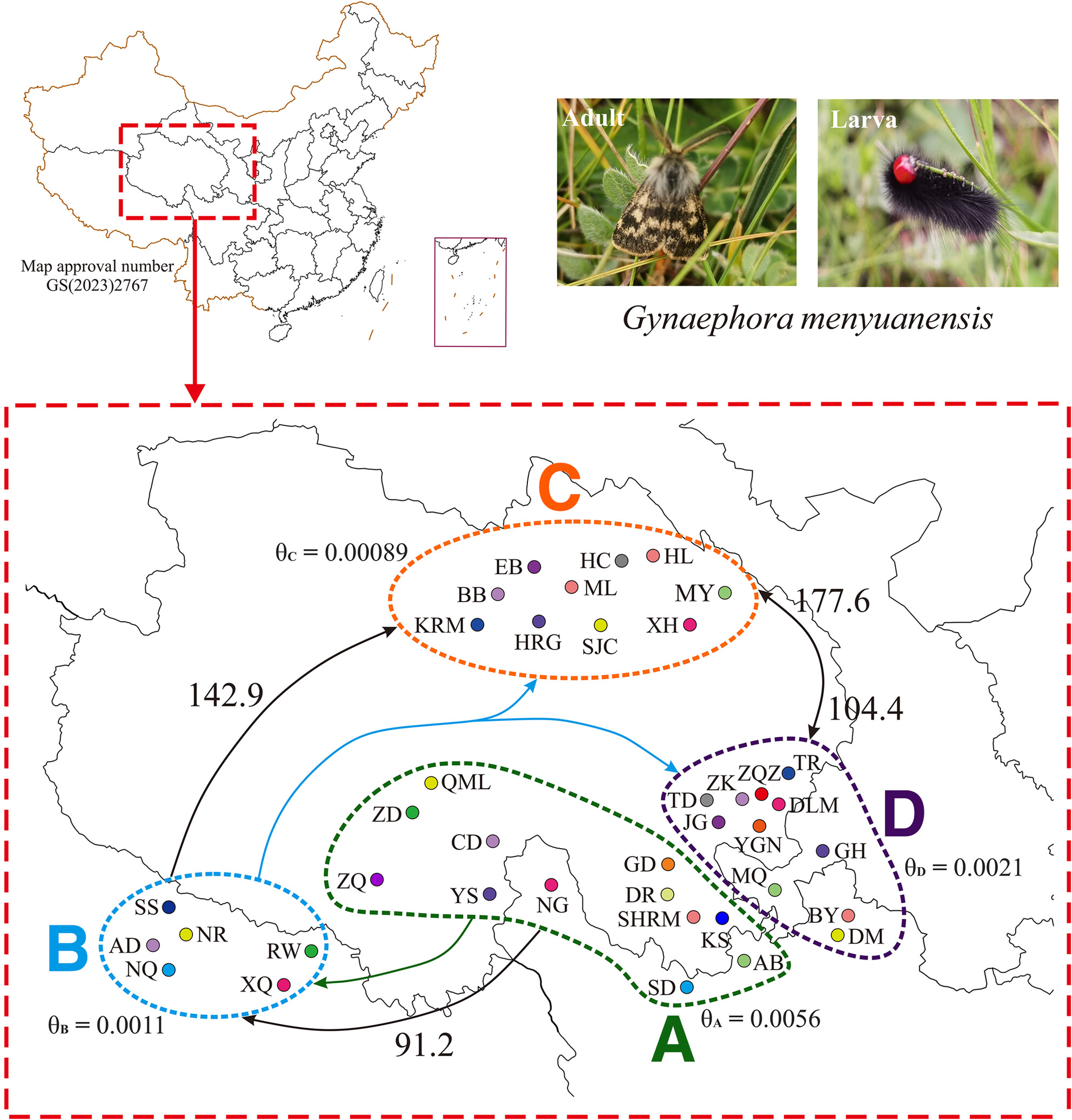 Mitochondrial phylogeography of grassland caterpillars (Lepidoptera: Lymantriinae: Gynaephora) endemic to the Qinghai–Tibetan plateau