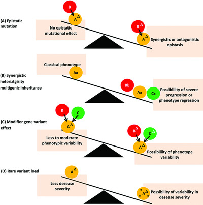 Inferring the effect of genomic variation in the new era of genomics