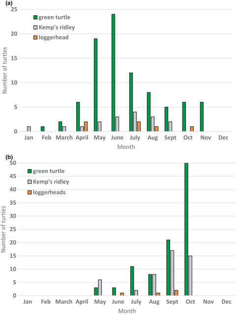 Capture vulnerability of sea turtles on recreational fishing piers