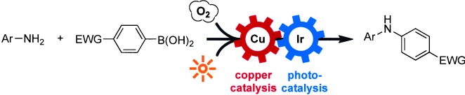 Visible-Light-Mediated Chan–Lam Coupling Reactions of Aryl Boronic Acids and Aniline Derivatives