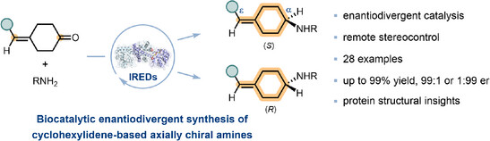 Imine Reductase–Catalyzed Remote Stereocontrol for Enantiodivergent Synthesis of Cyclohexylidene-Based Axially Chiral Amines