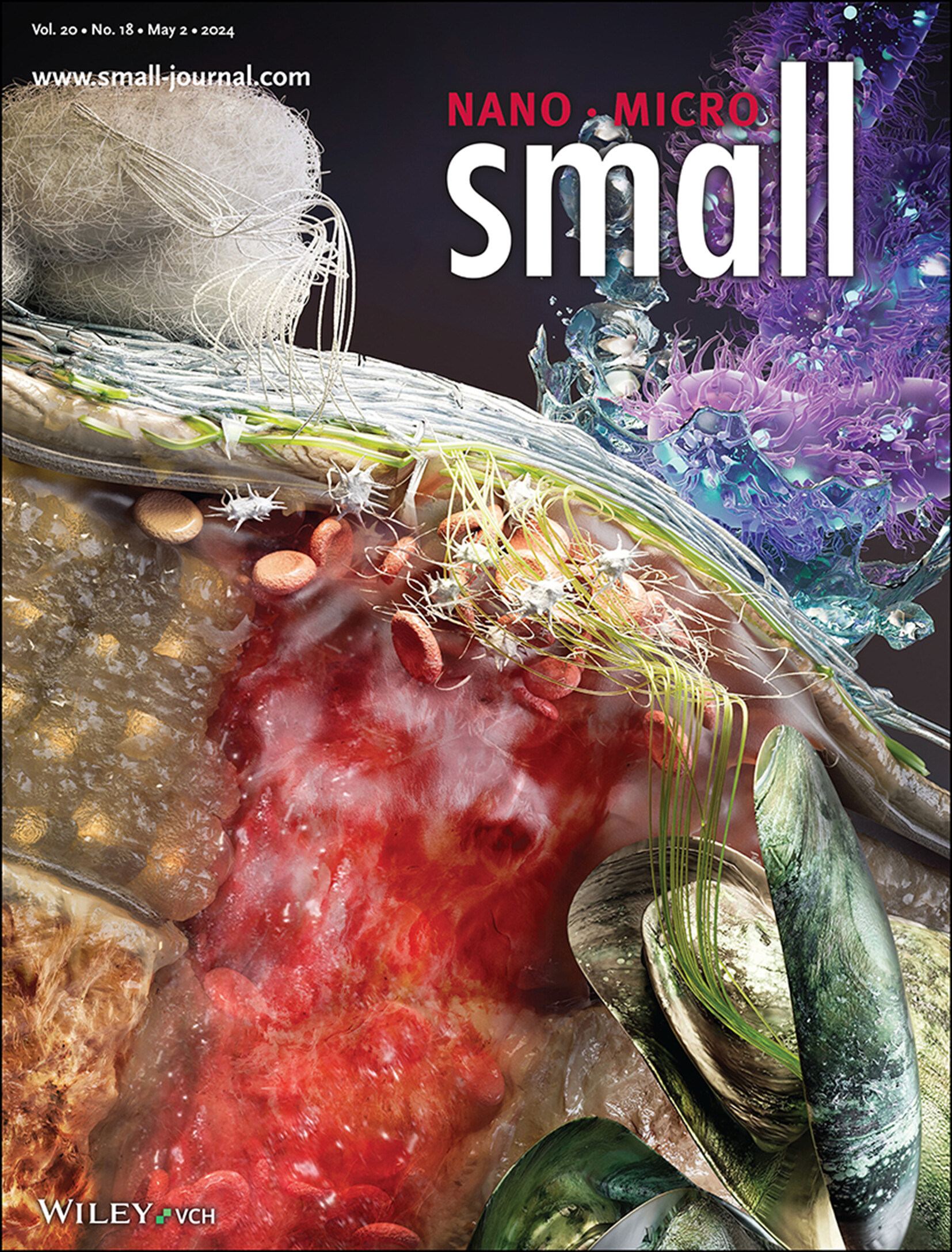 Protective Topical Dual-Sided Nanofibrous Hemostatic Dressing Using Mussel and Silk Proteins with Multifunctionality of Hemostasis and Anti-Bacterial Infiltration (Small 18/2024) Volume 20 Issue 18, 2024