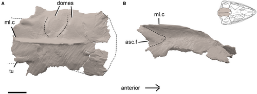 Details are in the caption following the image