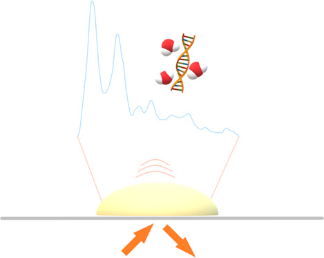 Rapid analysis of disease state in liquid human serum combining infrared spectroscopy and “digital drying”