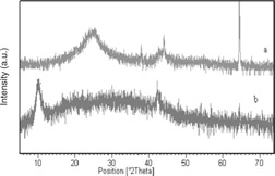 Synthesis of a Graphite Oxide Polyaniline Nano-Composite by an Electrochemical Method