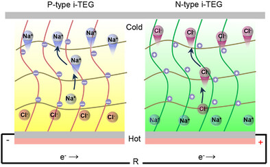 P-N Series Integrated Ionic Thermoelectric Generator Based on Cation/Anion-Selective Hydrogels for Body Heat Harvesting