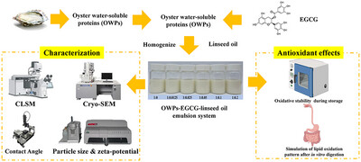 Establishment of Oyster-Water-Soluble Protein–EGCG–Linseed Oil-Emulsion System and Its Lipid Oxidation Stability During Storage and In Vitro Gastrointestinal Digestion Issue ,