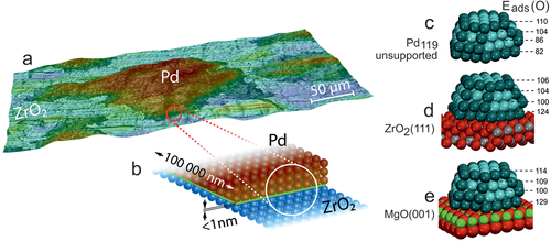 Details are in the caption following the image Details are in the caption following the image