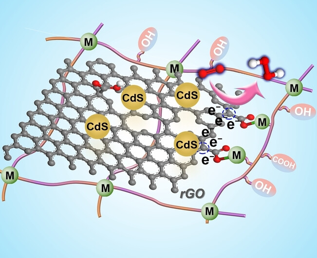 Proton-Enriched Alginate–Graphene Hydrogel Microreactor for Enhanced Hydrogen Peroxide Photosynthesis