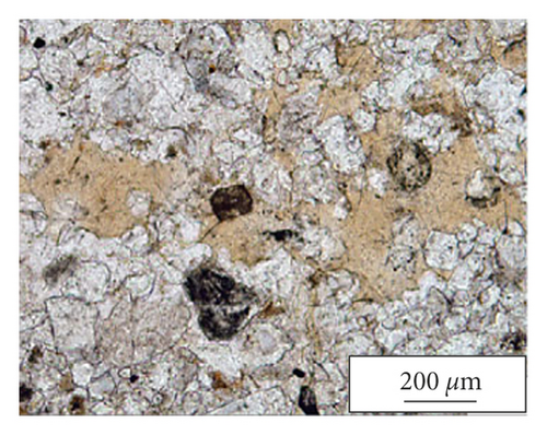 Details are in the caption following the image