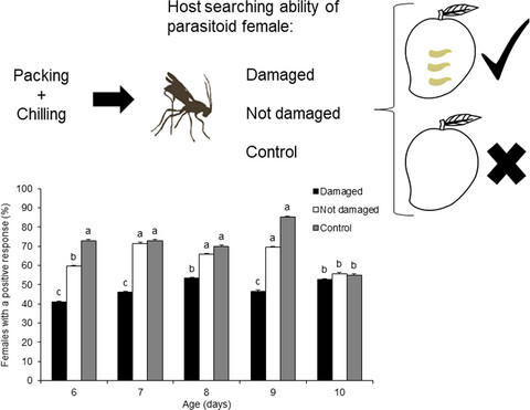 Pre-release packing and chilling reduce host-searching ability of the parasitoid Diachasmimorpha longicaudata used in the augmentative control of tephritid flies