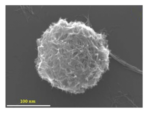 Details are in the caption following the image