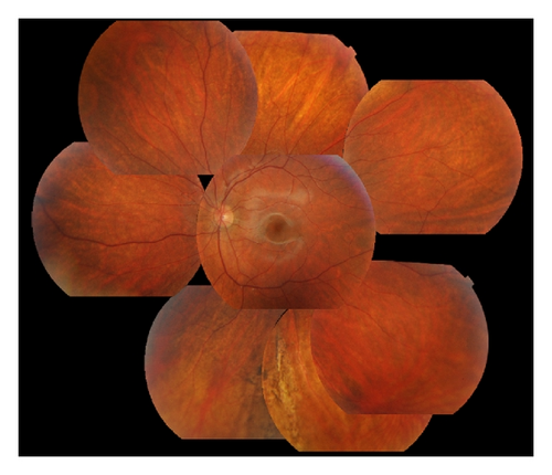 Details are in the caption following the image Details are in the caption following the image