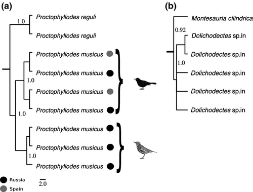 Details are in the caption following the image Details are in the caption following the image