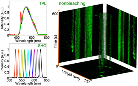 Retracted: Single layer molybdenum disulfide as an optical nanoprobe for 2 photon luminescence and second harmonic generation cell imaging