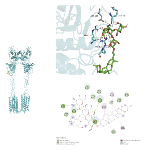 Details are in the caption following the image Details are in the caption following the image